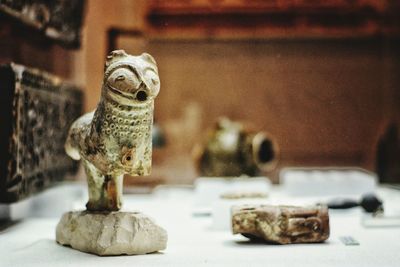 Close-up of owl perching