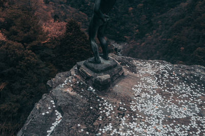 High angle view of sculpture on rock