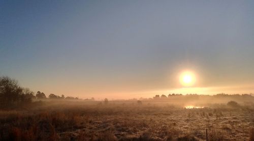 Scenic view of field against clear sky during sunset