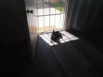 Man with dog on floor at home