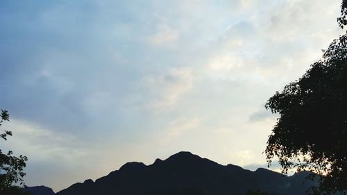 Low angle view of silhouette trees against sky