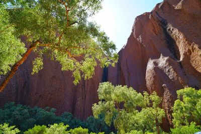 Scenic view of trees and rocks against sky