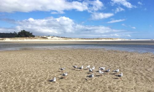 Scenic view of beach against sky