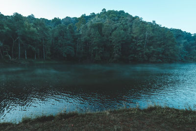 Scenic view of lake against trees in forest