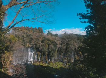 Scenic view of waterfall in forest against sky