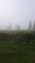 Scenic view of field against sky during foggy weather