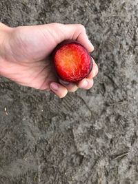 High angle view of hand holding strawberry