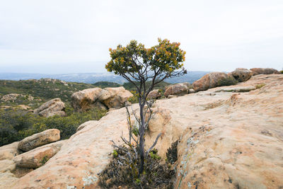 Scenic view of cliff by sea against sky