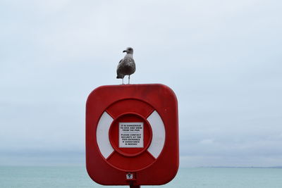 Seagull perching on a sea against sky