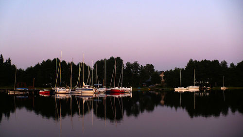 Boats moored in harbor against clear sky