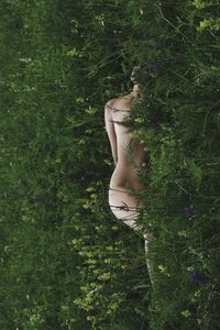 Full length of woman standing against plants