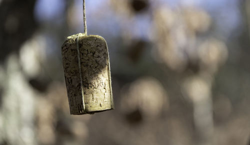 Close-up of old metal hanging on rope