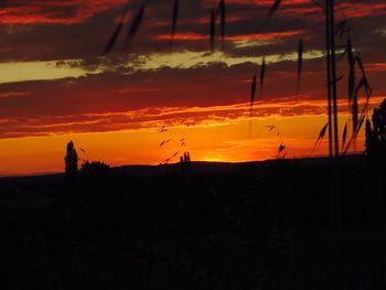 Scenic view of dramatic sky during sunset