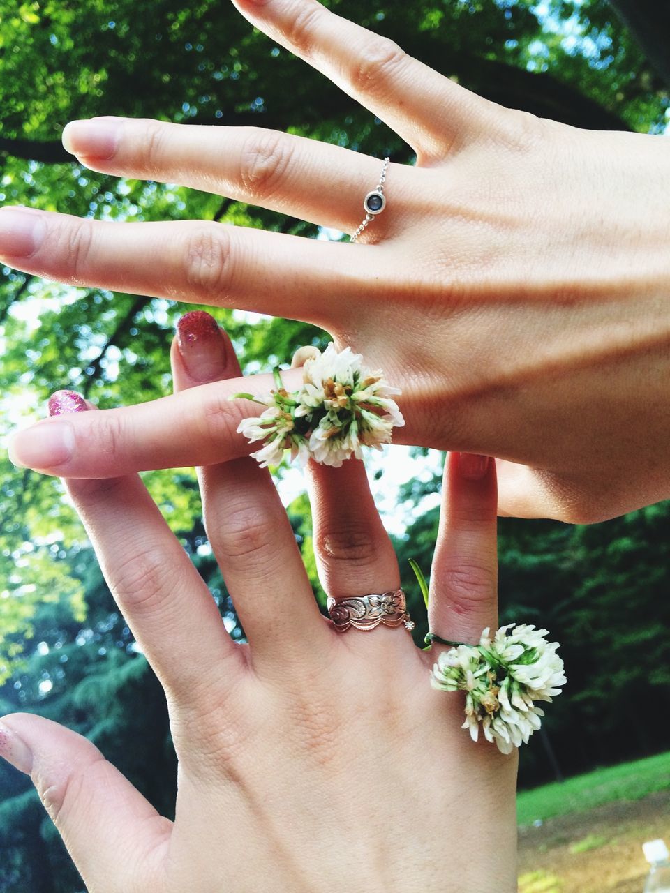 person, part of, cropped, holding, human finger, flower, close-up, growth, focus on foreground, unrecognizable person, lifestyles, plant, personal perspective, nature, tree, leisure activity