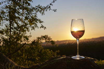 Close-up of wineglass against trees