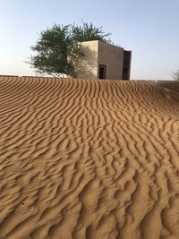 Sand dune on beach against sky