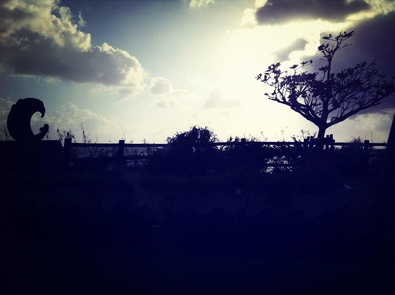 silhouette, sky, cloud - sky, tree, cloud, dusk, outline, dark, nature, sunset, men, cloudy, tranquility, landscape, outdoors, leisure activity, lifestyles, tranquil scene, beauty in nature