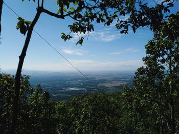 Scenic view of forest against sky