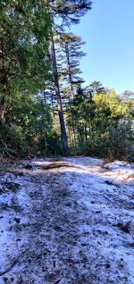 Scenic view of waterfall in forest against clear sky