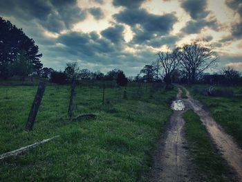 Scenic view of grassy field against cloudy sky