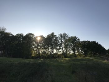 Trees on field against clear sky