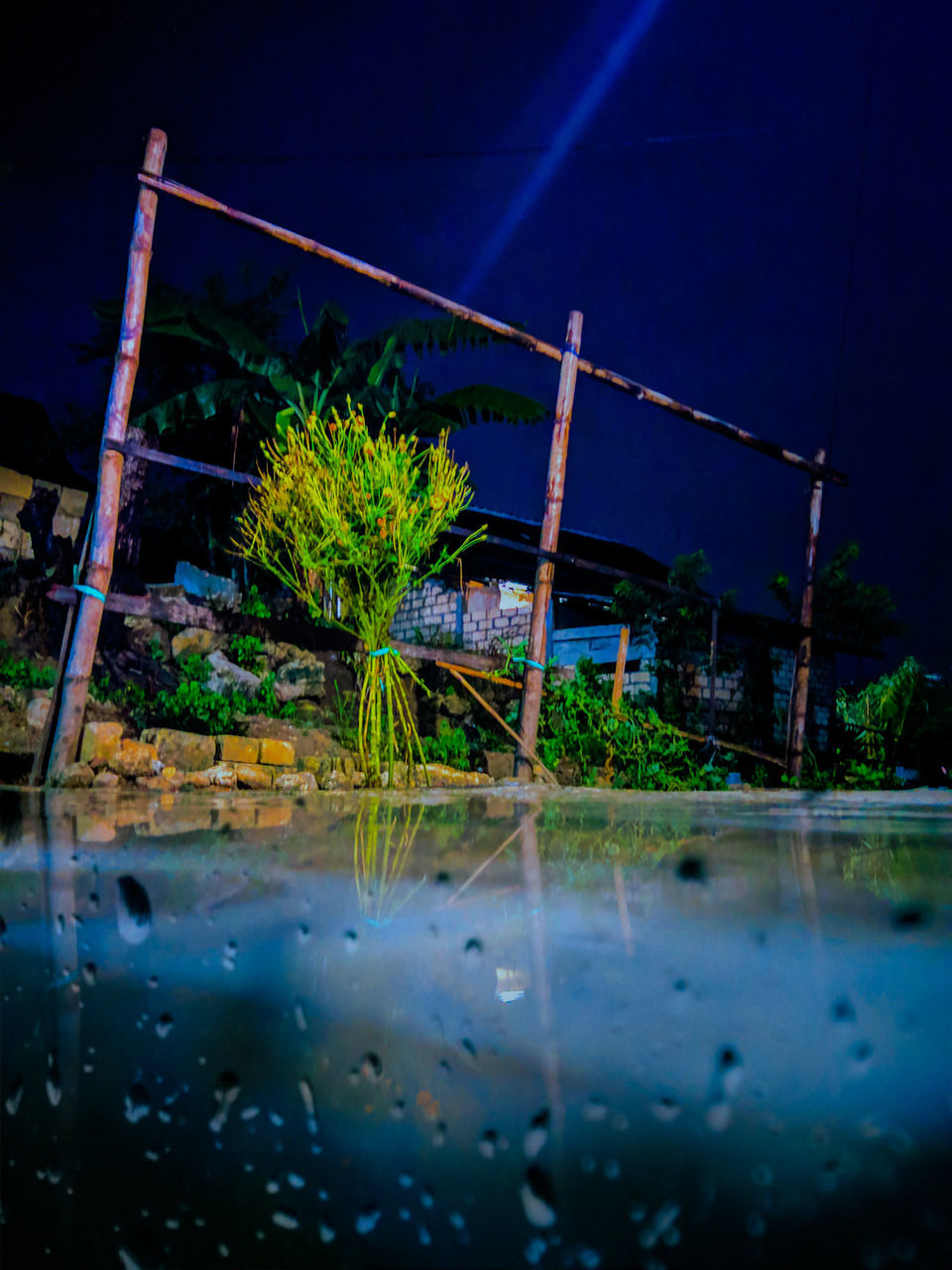 reflection, night, light, water, nature, evening, no people, plant, sky, blue, architecture, darkness, outdoors, dusk, built structure, tree