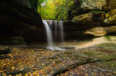 Scenic view of waterfall in forest