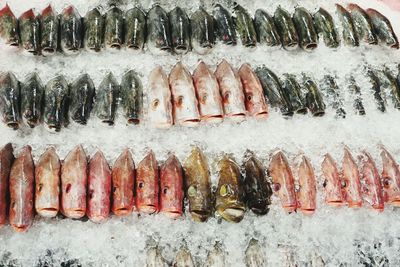 Panoramic shot of fish for sale in market