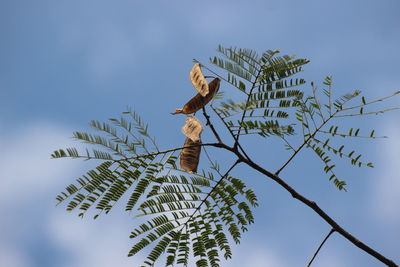 Low angle view of bird perching on roof