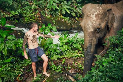 Shirtless young man standing by elephant in forest