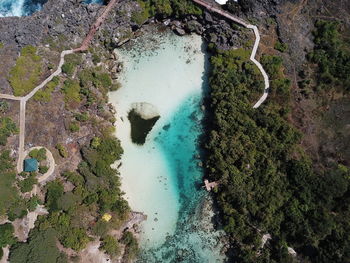 High angle view of plants by sea