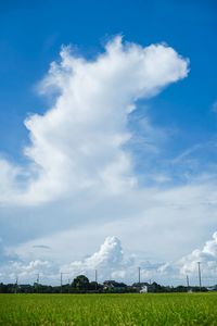 Scenic view of grassy field against cloudy sky