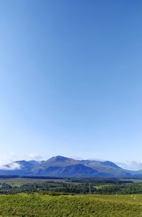 Scenic view of field against clear blue sky