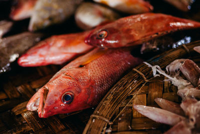 Fish for sale at market