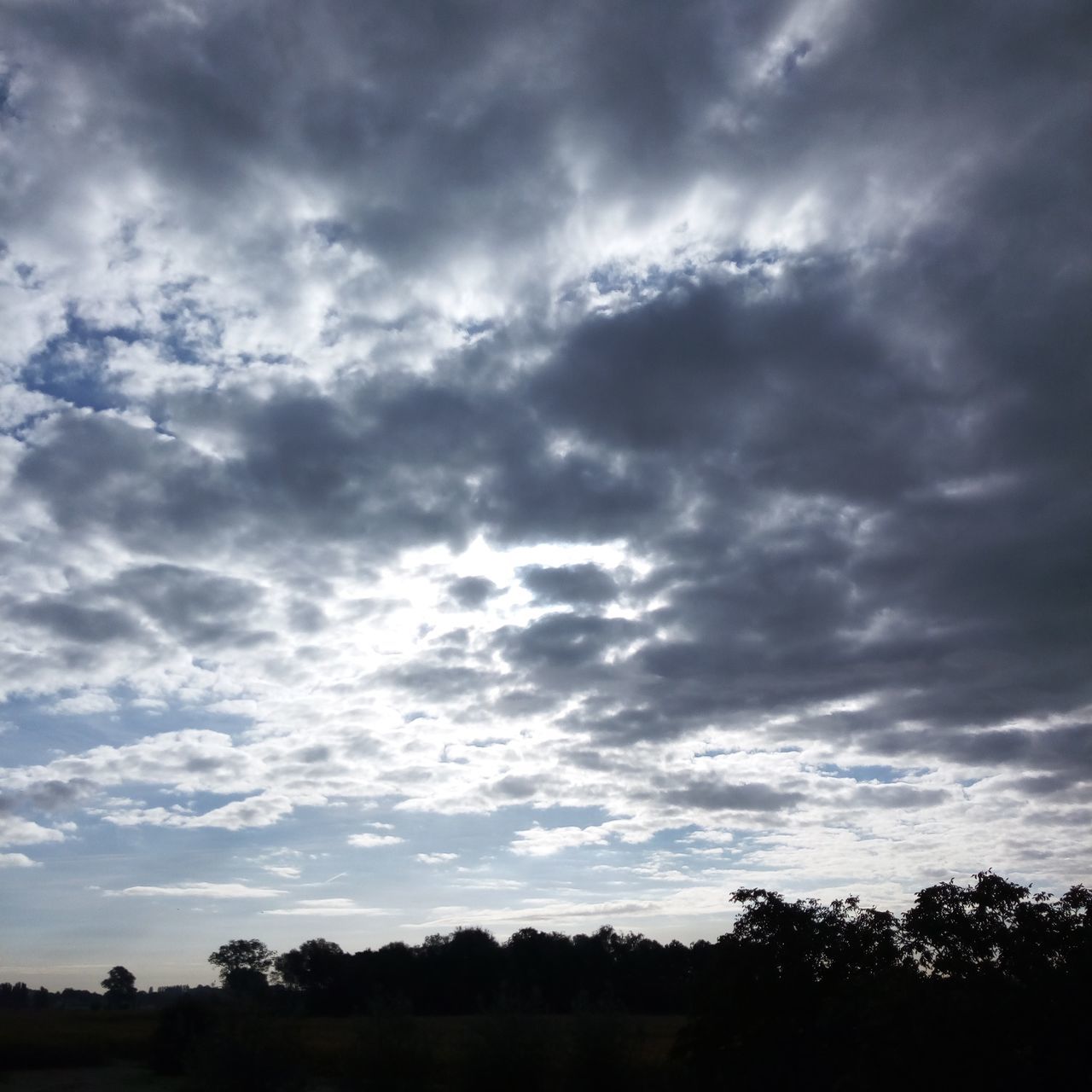 cloud - sky, sky, tree, beauty in nature, scenics - nature, tranquility, silhouette, tranquil scene, no people, nature, plant, dramatic sky, overcast, low angle view, non-urban scene, storm, environment, outdoors, cloudscape, ominous