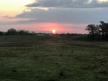 Scenic view of field against sky during sunset