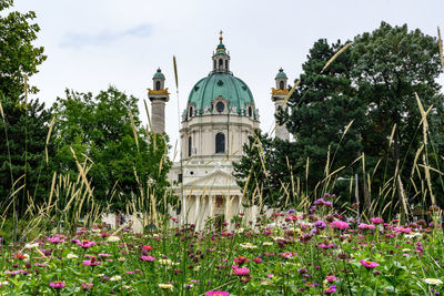 View of flowering plants by building against sky