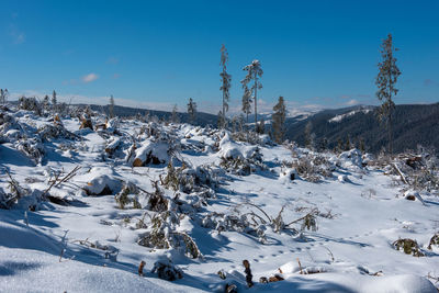 Snow covered land against blue sky