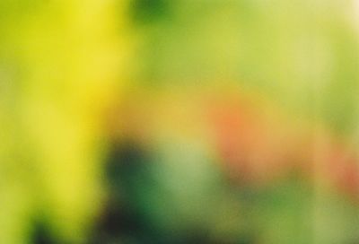 Full frame shot of multi colored blurred background