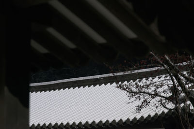 Shadow of trees on building during winter