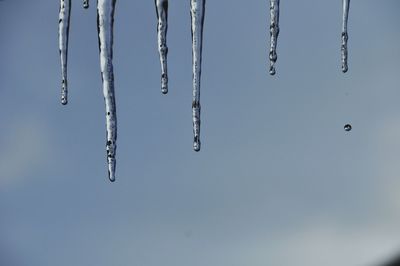 Close-up of icicles against sky during winter