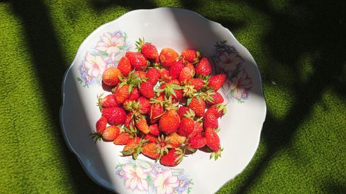 High angle view of red berries on plate