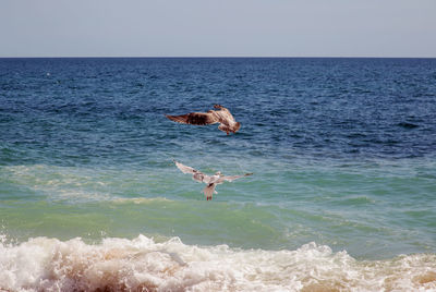 Scenic view of sea against clear sky