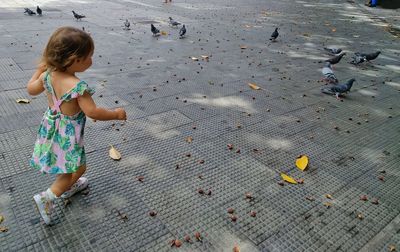 Boy feeding birds