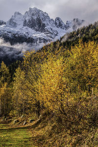 Le tour in chamonix in haute savoie,france