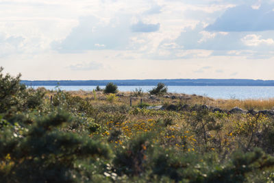 Scenic view of sea against sky