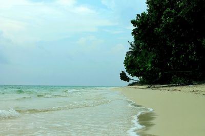 Scenic view of beach against sky