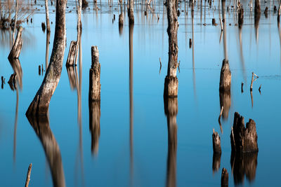 Close-up of wooden posts in lake