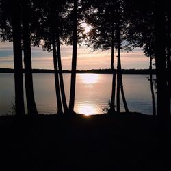 Silhouette of trees at sunset