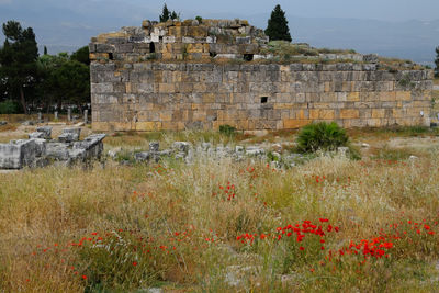 View of old ruin building